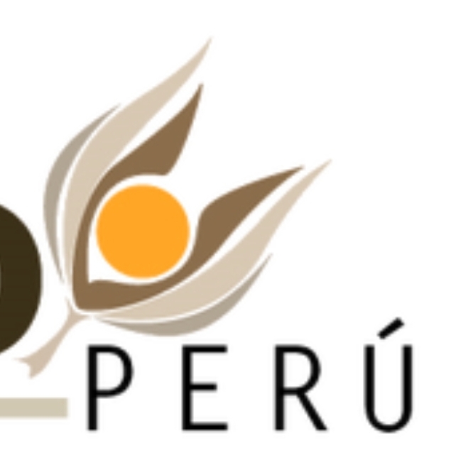 INGENIERO(A) SSOMA (SEGURIDAD, SALUD OCUPACIONAL Y MEDIO AMBIENTE)